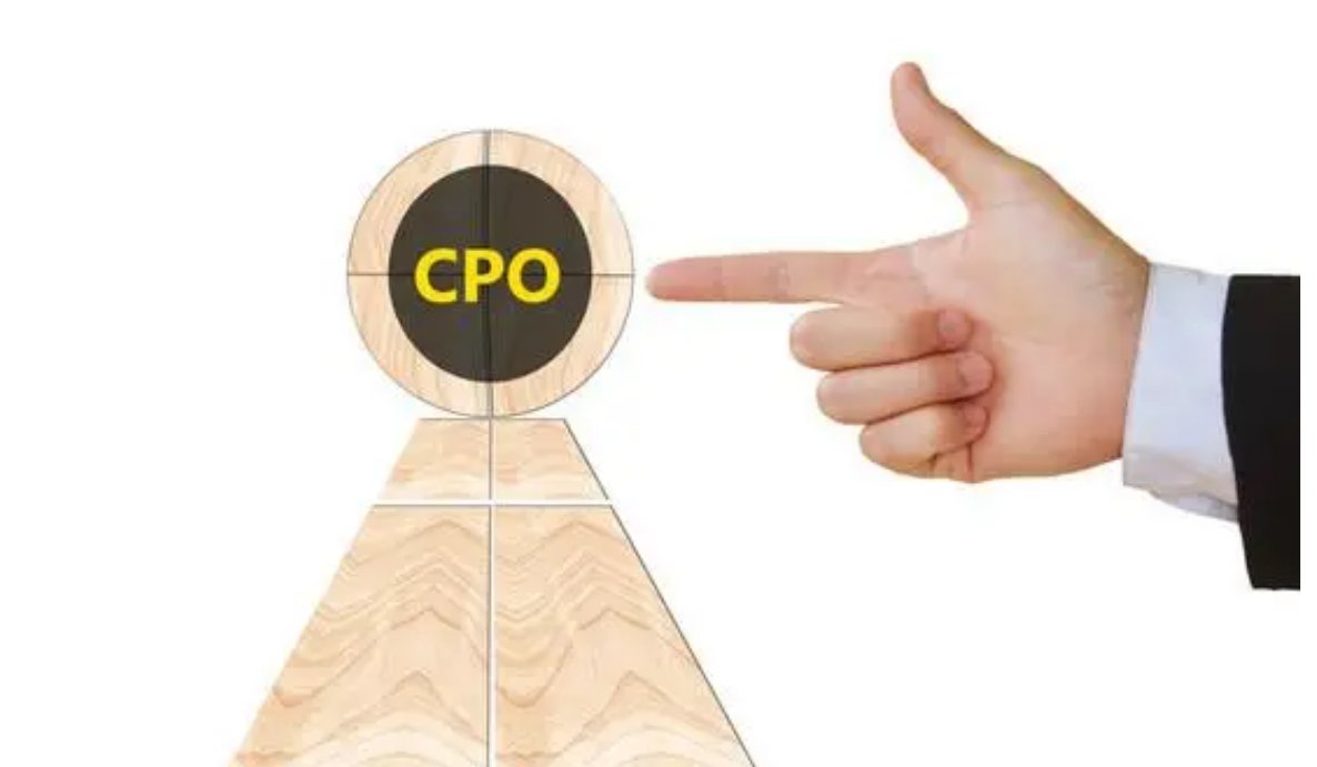 cpo什么意思