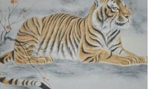 属虎和属龙的相配吗