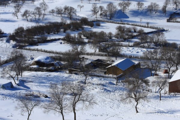 内蒙古多地遇暴雪，天空现“雷打雪”现象，这种情况有多罕见？