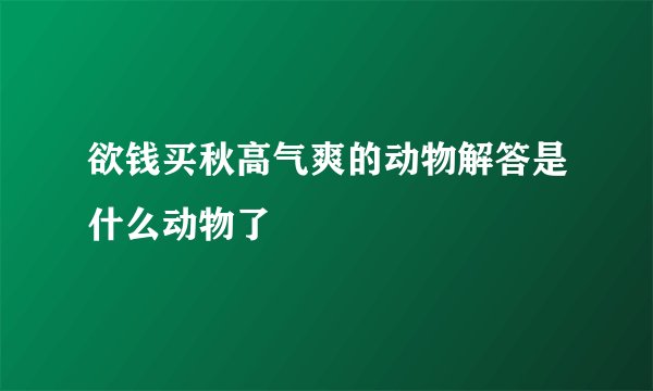 欲钱买秋高气爽的动物解答是什么动物了