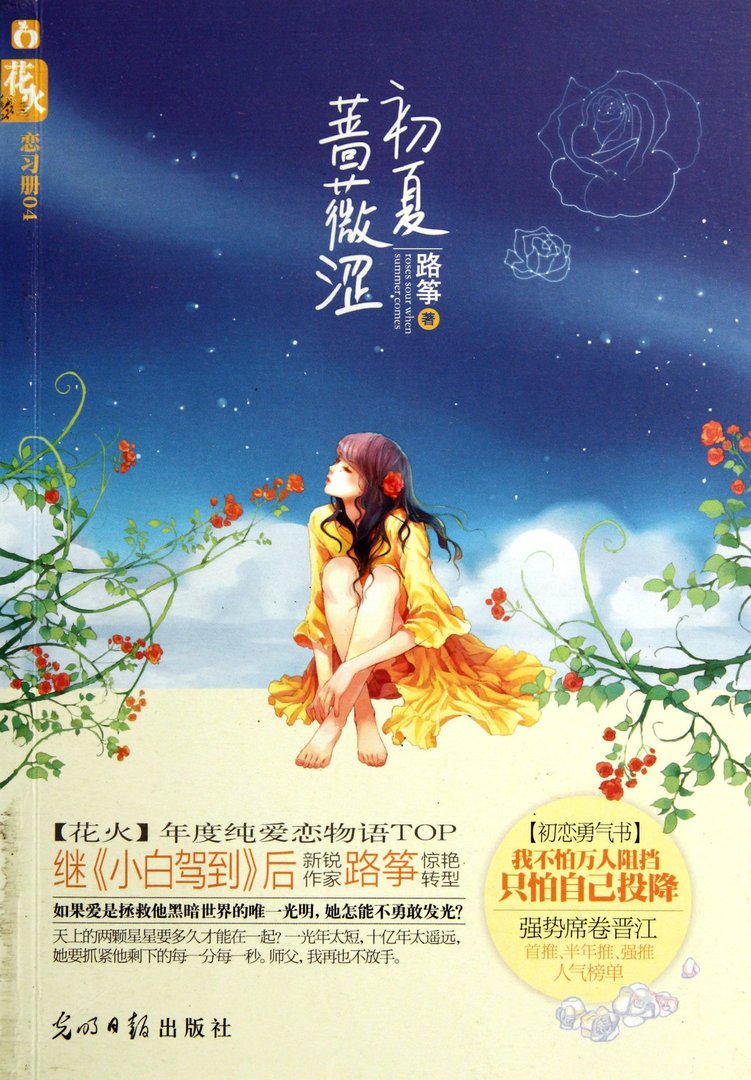 初夏蔷薇涩的内容简介