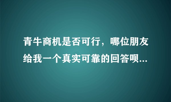青牛商机是否可行，哪位朋友给我一个真实可靠的回答呗，谢谢了！