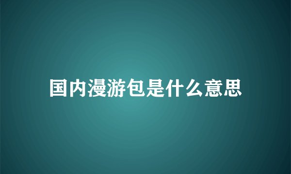 国内漫游包是什么意思