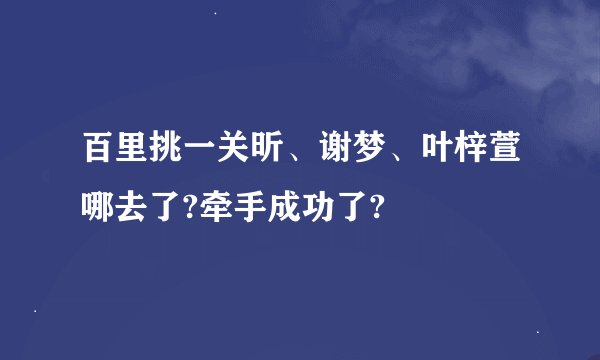 百里挑一关昕、谢梦、叶梓萱哪去了?牵手成功了?