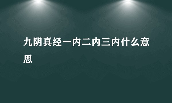 九阴真经一内二内三内什么意思