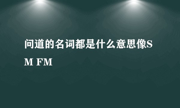 问道的名词都是什么意思像SM FM