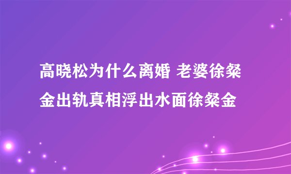 高晓松为什么离婚 老婆徐粲金出轨真相浮出水面徐粲金