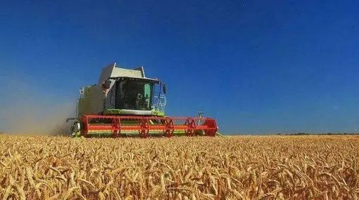 上海市已抢种蔬菜面积达8万多亩，这个数据说明了什么？