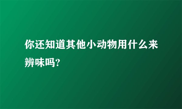 你还知道其他小动物用什么来辨味吗?