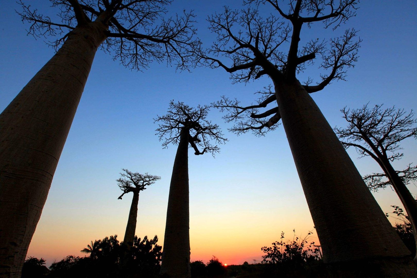 年薪20万外派非洲的工作，你会考虑吗？