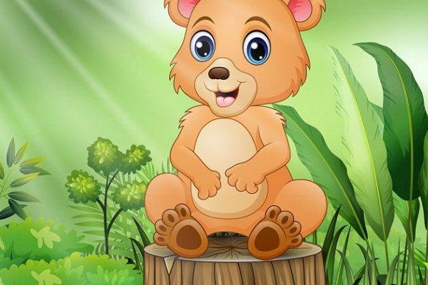 小熊为什么认为森林里的气象站真有趣呀