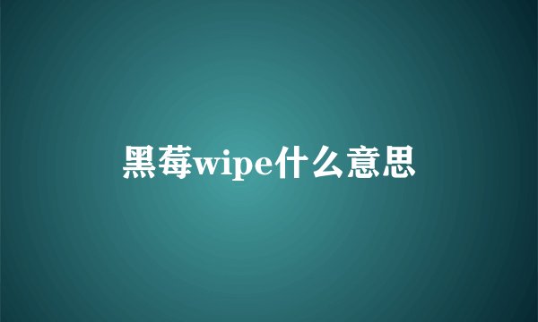 黑莓wipe什么意思