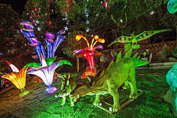 江西武宁发现恐龙蛋化石:距今约7000万年,价值是什么?