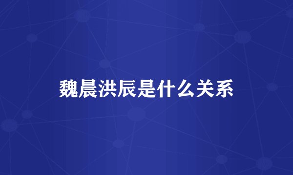 魏晨洪辰是什么关系