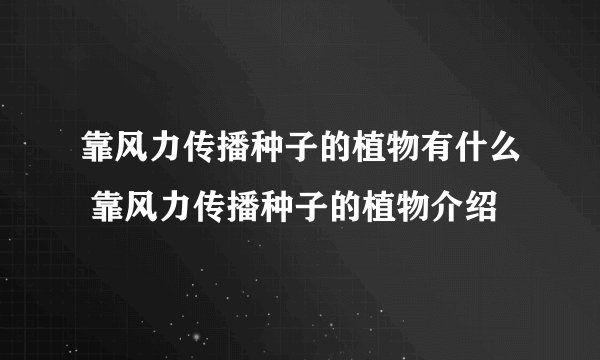 靠风力传播种子的植物有什么 靠风力传播种子的植物介绍