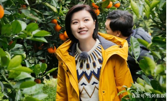 东方卫视主持人因何集体翻车?