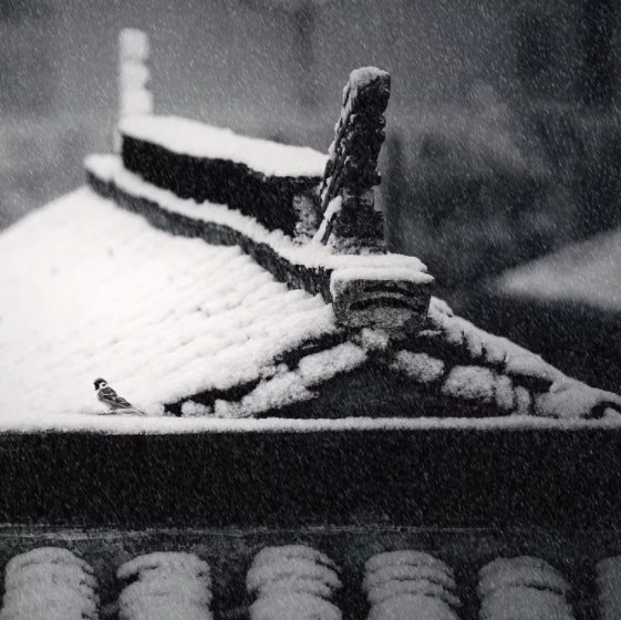 元稹的南秦雪原文及翻译