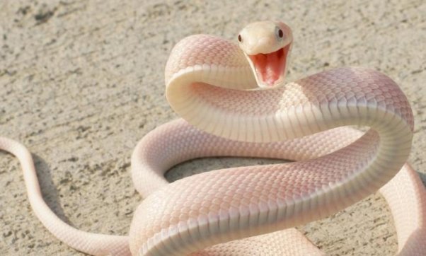 2001出生的人多大了？