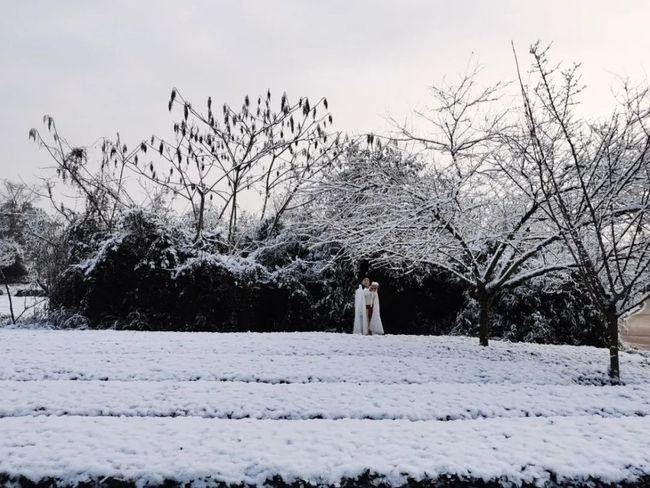 “他朝若是同淋雪,此生也算共白头。”出自哪里？