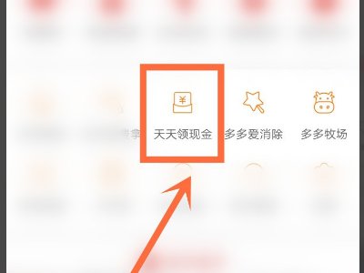拼多多提现100安全吗会不会泄露个人信息？