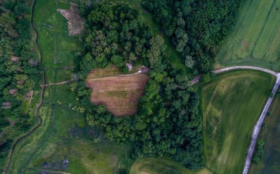 波兰发现“万人坑”！这一发现对历史研究有何帮助？