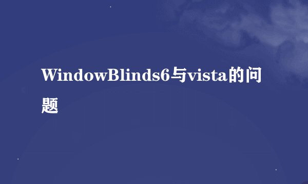 WindowBlinds6与vista的问题