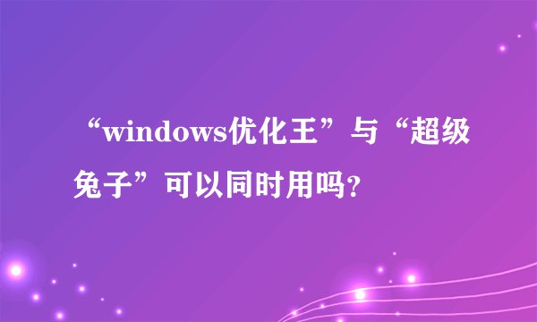 “windows优化王”与“超级兔子”可以同时用吗？