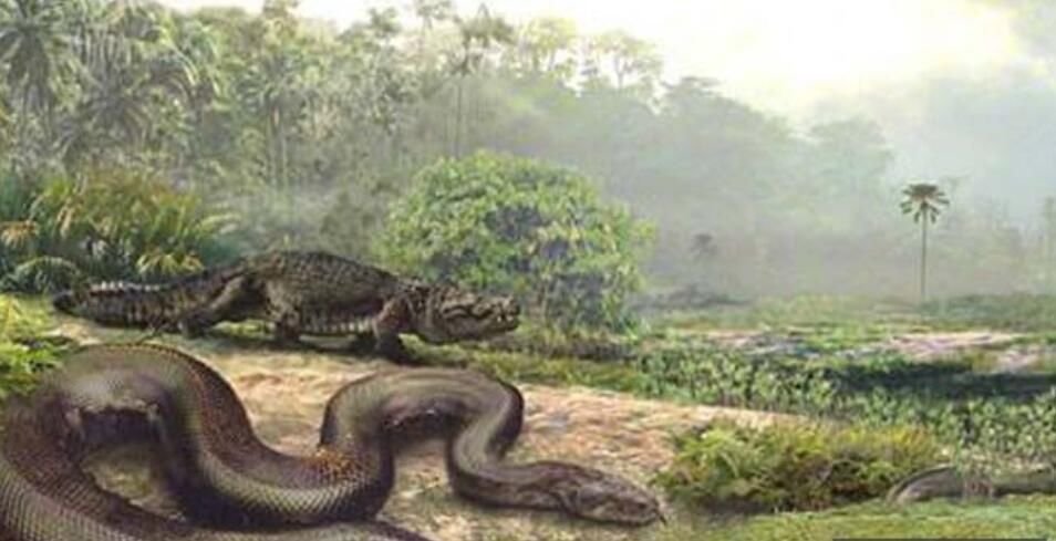 泰坦巨蟒吞大象的视频真的吗 是否是真实案例