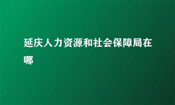 延庆人力资源和社会保障局在哪