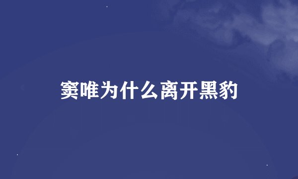 窦唯为什么离开黑豹