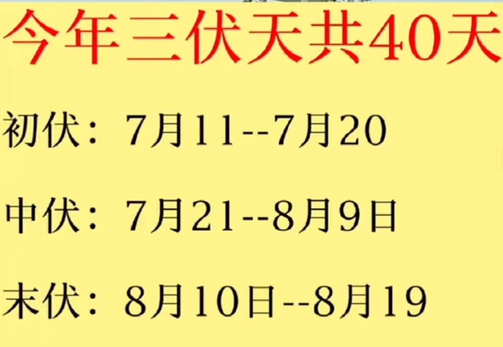 今天是2023年几九的第几天?