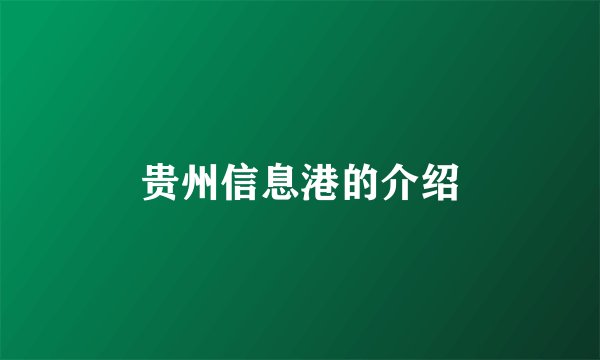贵州信息港的介绍