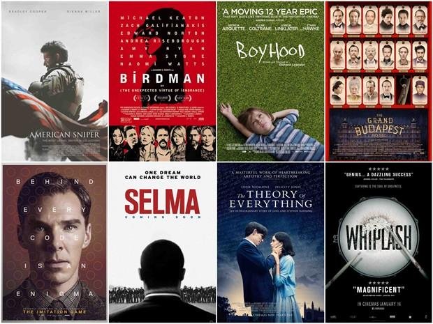 2015年的奥斯卡获奖影片都有哪些？可否给我讲讲，我学习学习