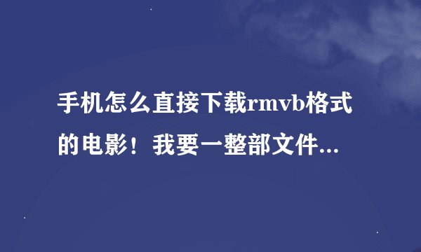 手机怎么直接下载rmvb格式的电影！我要一整部文件的，可以放到电脑上看的！电影太大，手机自身内存太小