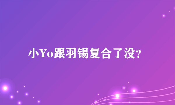 小Yo跟羽锡复合了没？