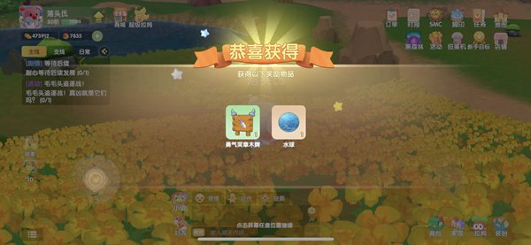 摩尔庄园毛毛头追逐战攻略