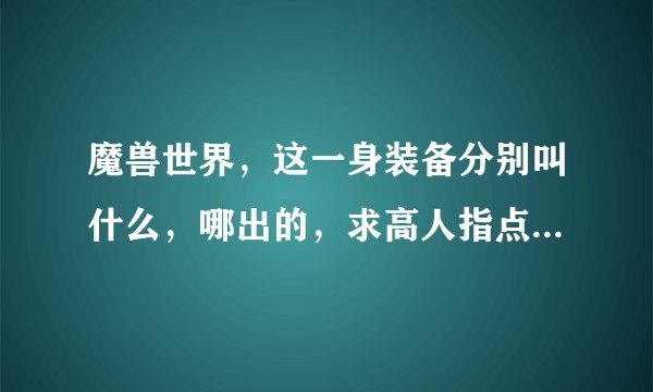 魔兽世界，这一身装备分别叫什么，哪出的，求高人指点，详细者给分，在此谢过。