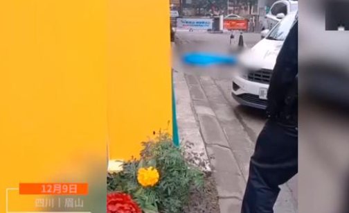 眉山警方通报12岁女孩坠亡说了什么？