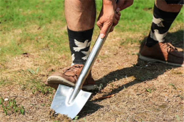 考古学家挖掘古墓时，一般会用到哪些工具？