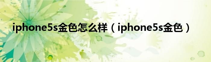 iphone5s金色怎么样iphone5s金色