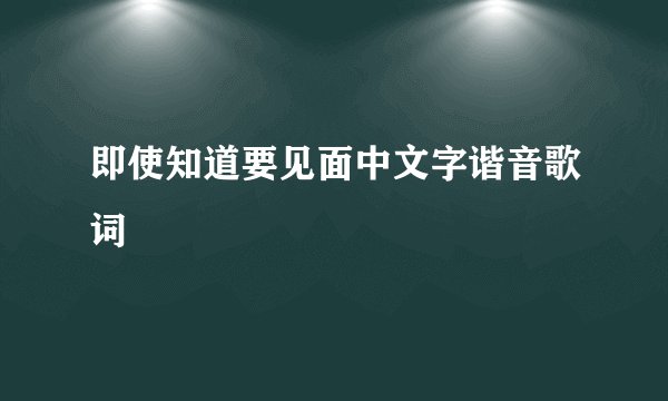即使知道要见面中文字谐音歌词