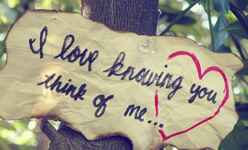 关于爱情的7件事的剧情简介