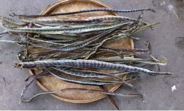 女孩把蛇干当玩具，妈妈询问原因满脸淡定！孩子哪句话让人哭笑不得？