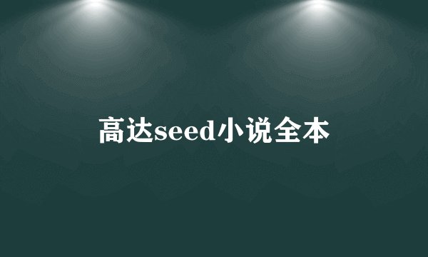 高达seed小说全本