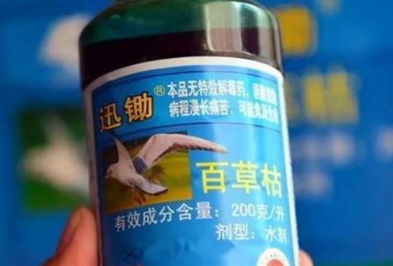 被投毒的“百草枯女孩”身体逐渐恢复，她能恢复如初吗？