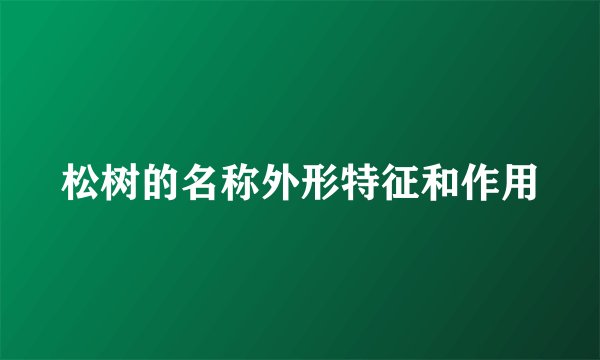 松树的名称外形特征和作用
