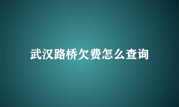 武汉路桥欠费怎么查询