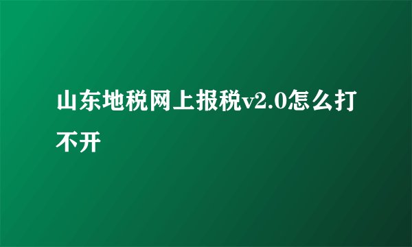 山东地税网上报税v2.0怎么打不开