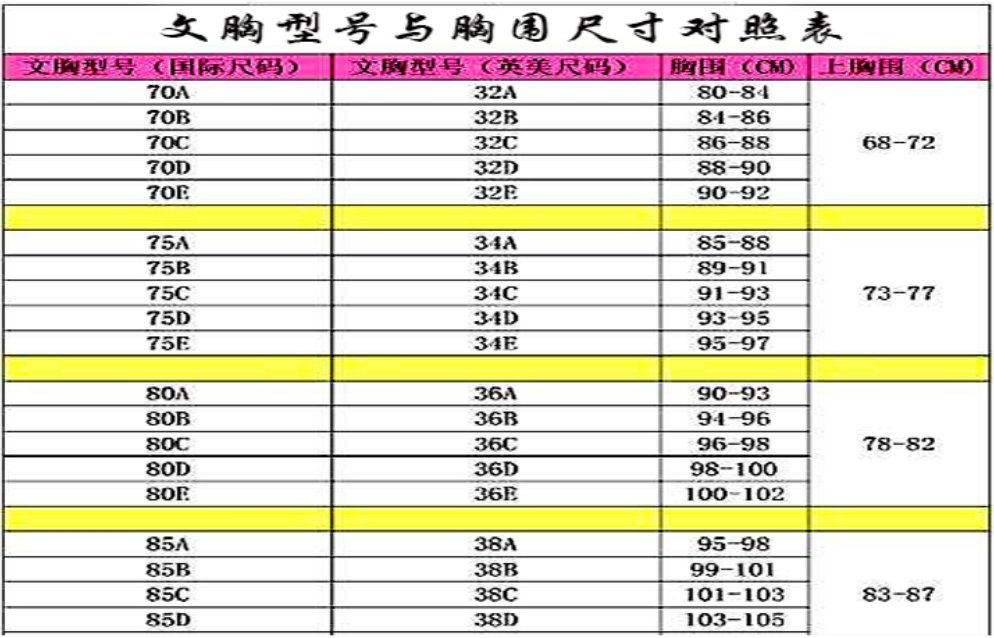 34的胸围是多大的？
