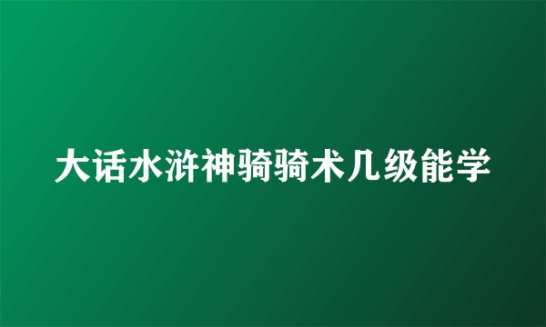 大话水浒神骑骑术几级能学